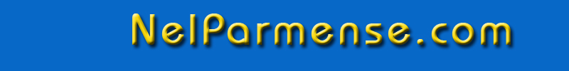 NelParmense.com dal 1998 Assistenza e Consulenza per Aziende e Privati, No Spam, Stop Spam, No Virus